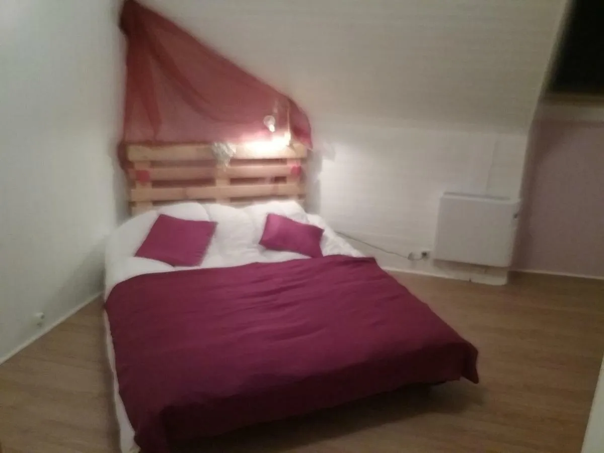 Les Tilleuls Hotel Besse-et-Saint-Anastaise Apartamento